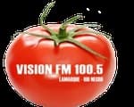 Visión FM