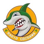 Radio Gozdawa Live