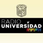Radio Universidad de Guanajuato - XHSML
