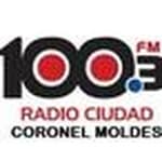 RCM 88 Radio Ciudad