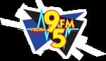 Rádio Viçosa 95 FM