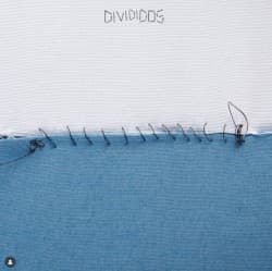 Divididos