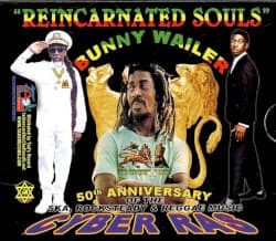 Reincarnated Souls