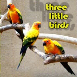 Three Little Birds